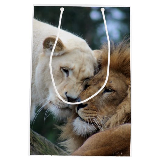 ライオンとライオン ミディアムペーパーバッグ (裏面)