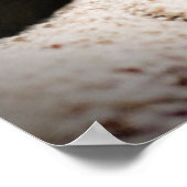 ライオンとラムのポスター ポスター (角)