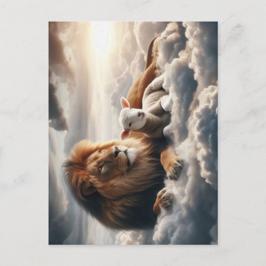 ライオンとラム葉書 ポストカード (正面)