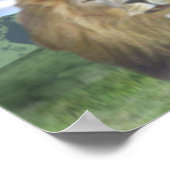 ライオンと子羊 ポスター (角)