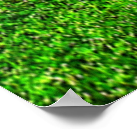 ライオンと子羊 ポスター (角)