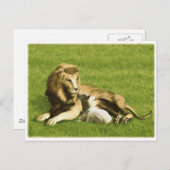 ライオンと子羊 ポストカード (正面/裏面)