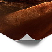 ライオンと小さな女の子 ポスター (角)