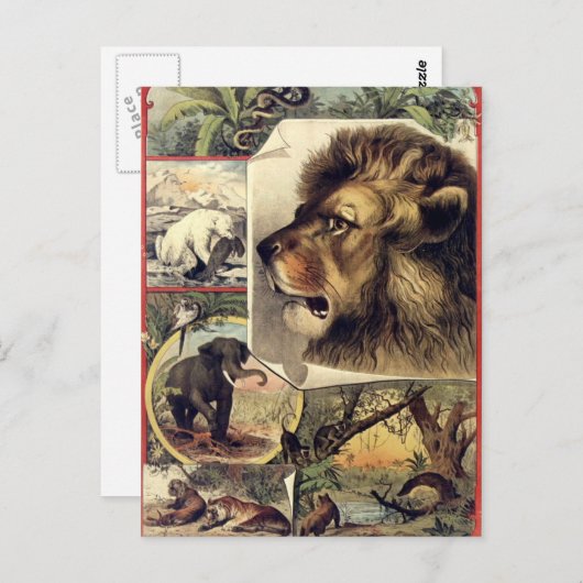ライオンと野生動物のヴィンテージサーカスのショー ポストカード (正面/裏面)