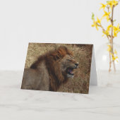 ライオンのとどろきの挨拶状 カード (黄色い花)