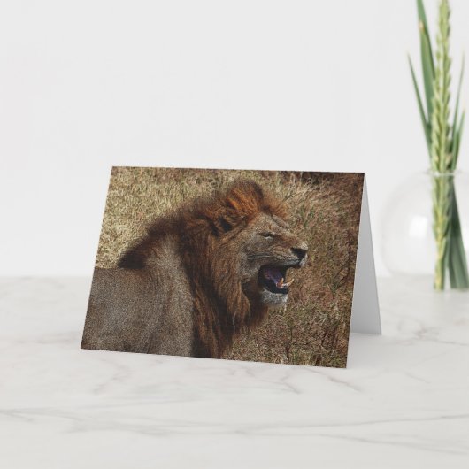 ライオンのとどろきの挨拶状 カード (正面)