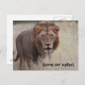 ライオンのはがき ポストカード (正面/裏面)