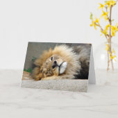 ライオンのまばたきの挨拶状 カード (黄色い花)