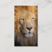 ライオンのイメージの名刺 名刺 (裏面)