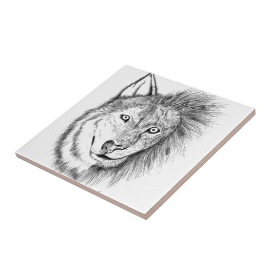 ライオンのオオカミ タイル (側面)