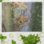 ライオンのカブス キッチンタオル (折り畳み)