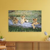 ライオンのカブス キャンバスプリント (インサイチュ (リビング))