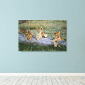 ライオンのカブス キャンバスプリント (インサイチュ (ウッドフロア))