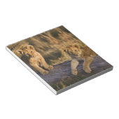 ライオンのカブス ノートパッド (アングル)