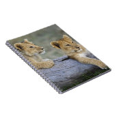 ライオンのカブス ノートブック (右側)