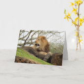 ライオンのグリーティングカード(0356) カード (黄色い花)