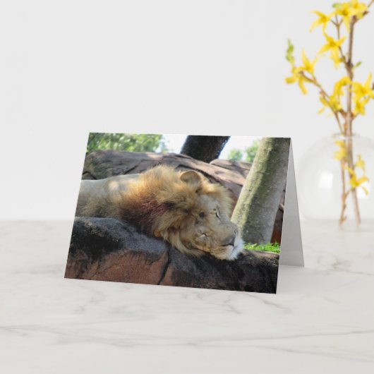 ライオンのグリーティングカード(1273) カード (黄色い花)