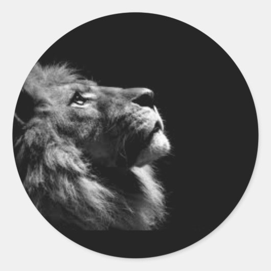 ライオンのステッカー ラウンドシール (正面)