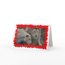 ライオンのバレンタイン