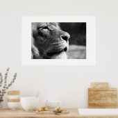 ライオンのプロフィール ポスター (キッチン)