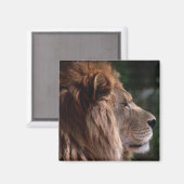 ライオンのプロフィール マグネット (正面/裏面)