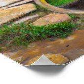 ライオンのポスター ポスター (角)