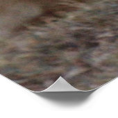 ライオンのポスター ポスター (角)