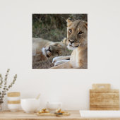 ライオンのポスター ポスター (キッチン)