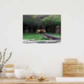 ライオンのポスター ポスター (キッチン)