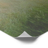 ライオンのポスター ポスター (角)