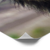 ライオンのポスター ポスター (角)