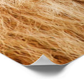 ライオンのポスター ポスター (角)