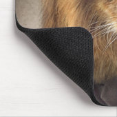 ライオンのポートレート マウスパッド (コーナー)