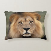 ライオンの写真 アクセントクッション (正面)