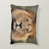 ライオンの写真 アクセントクッション (裏面(縦))