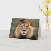 ライオンの写真 カード (黄色い花)