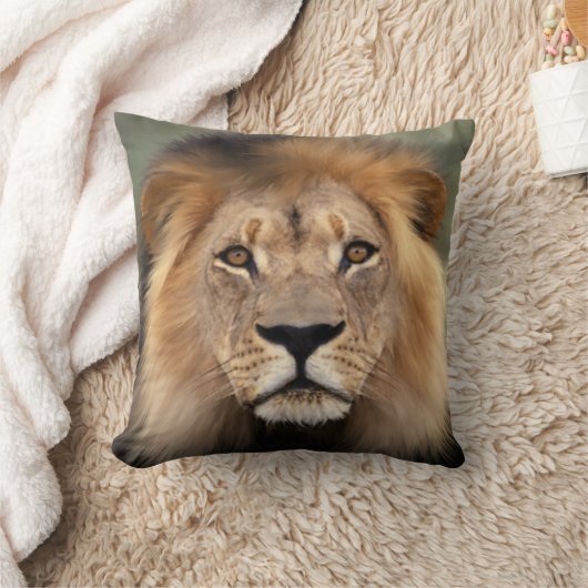 ライオンの写真 クッション (ブランケット)