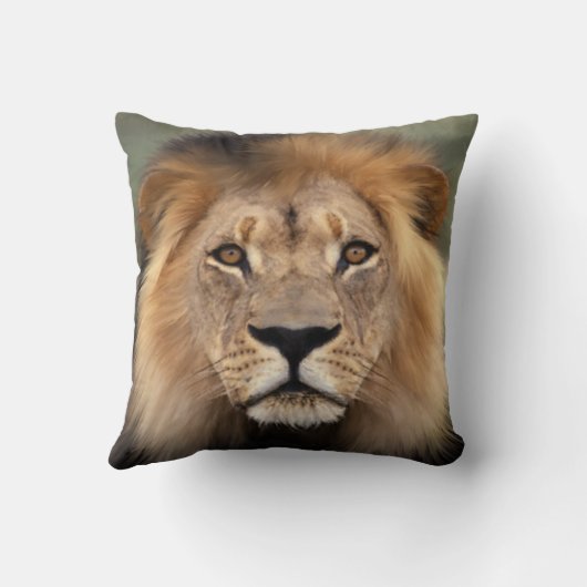 ライオンの写真 クッション (裏面)