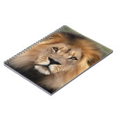 ライオンの写真 ノートブック (左側)