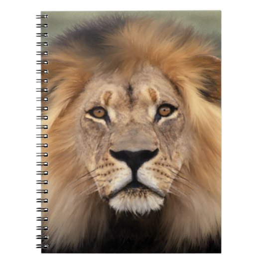 ライオンの写真 ノートブック (正面)