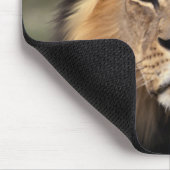 ライオンの写真 マウスパッド (コーナー)