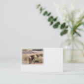 ライオンの名刺1 名刺 (スタンド正面)