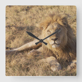ライオンの壁時計 スクエア壁時計