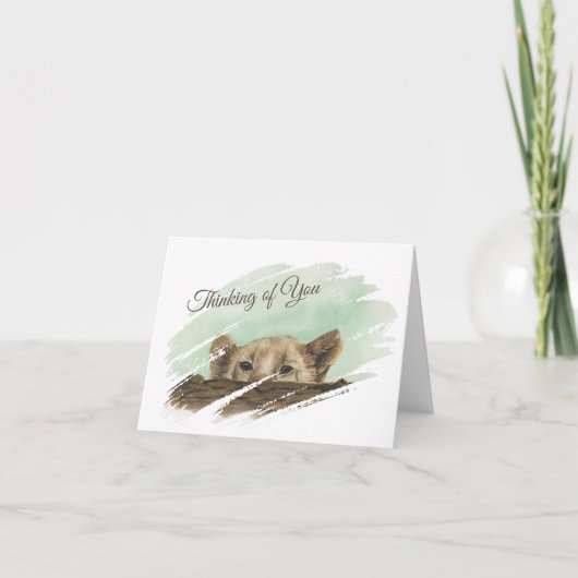 ライオンの子がログノートカードを覗き込む サンキューカード (正面)