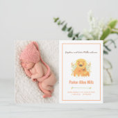 ライオンの子の誕生の発表 案内状 (スタンド正面)