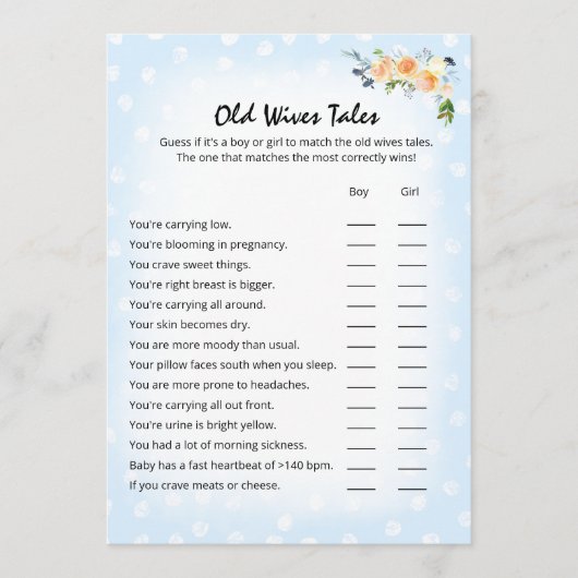 ライオンの子フローラ青い旧妻の物語のシャワーゲーム プログラム (正面)