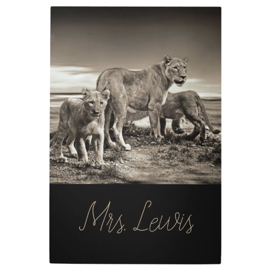 ライオンの子猫の新しいミイラ愛家の運命の運命 メタルプリント (正面)