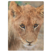 ライオンの子 クリップボード (裏面)