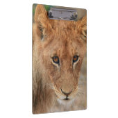 ライオンの子 クリップボード (右)