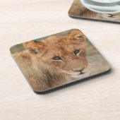 ライオンの子 コースター (左側)